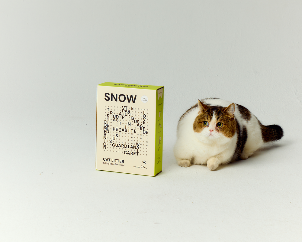 How to Choose the Right Cat Litter?