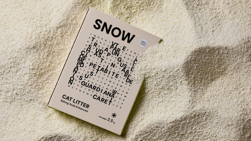 Is Eco-Friendly Cat Litter Actually Better?