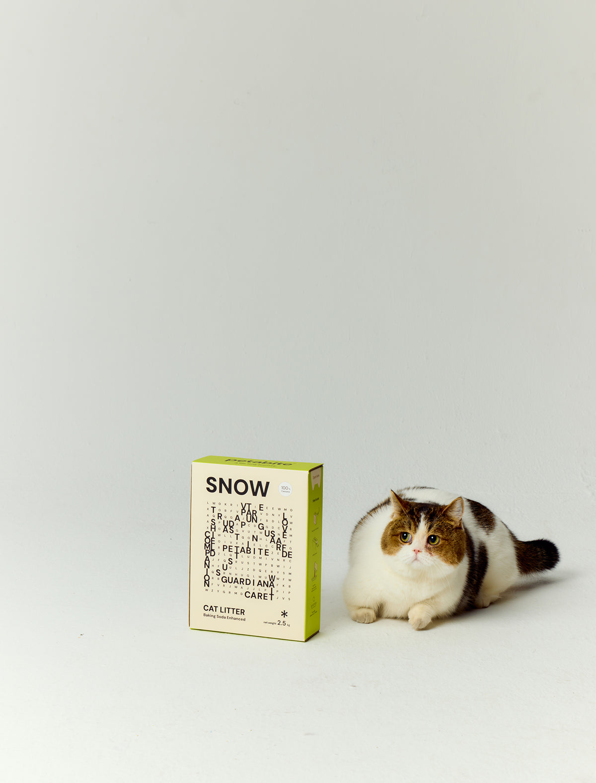 Snow cassava cat litter beside a cat in an editorial studio setting