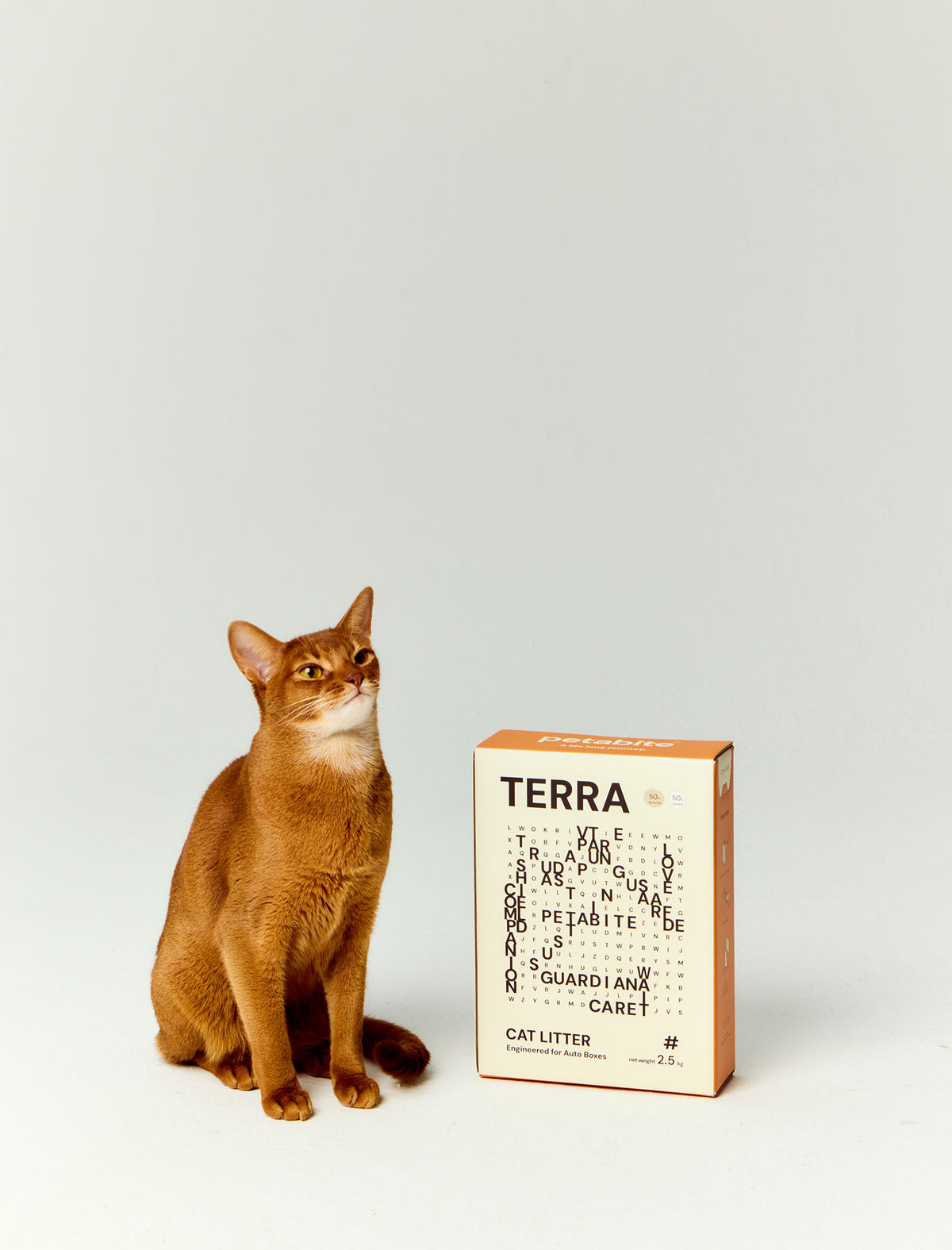 Terra cat litter beside a cat in an editorial studio setting