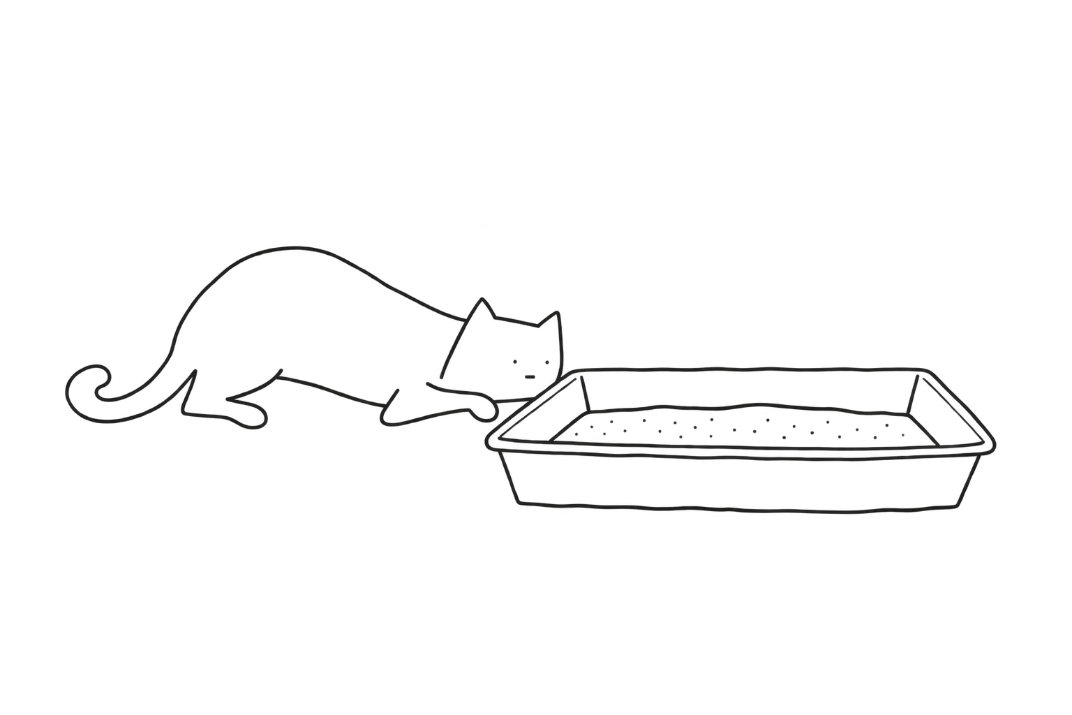 An elongated cat crouches beside a small open litter tray.