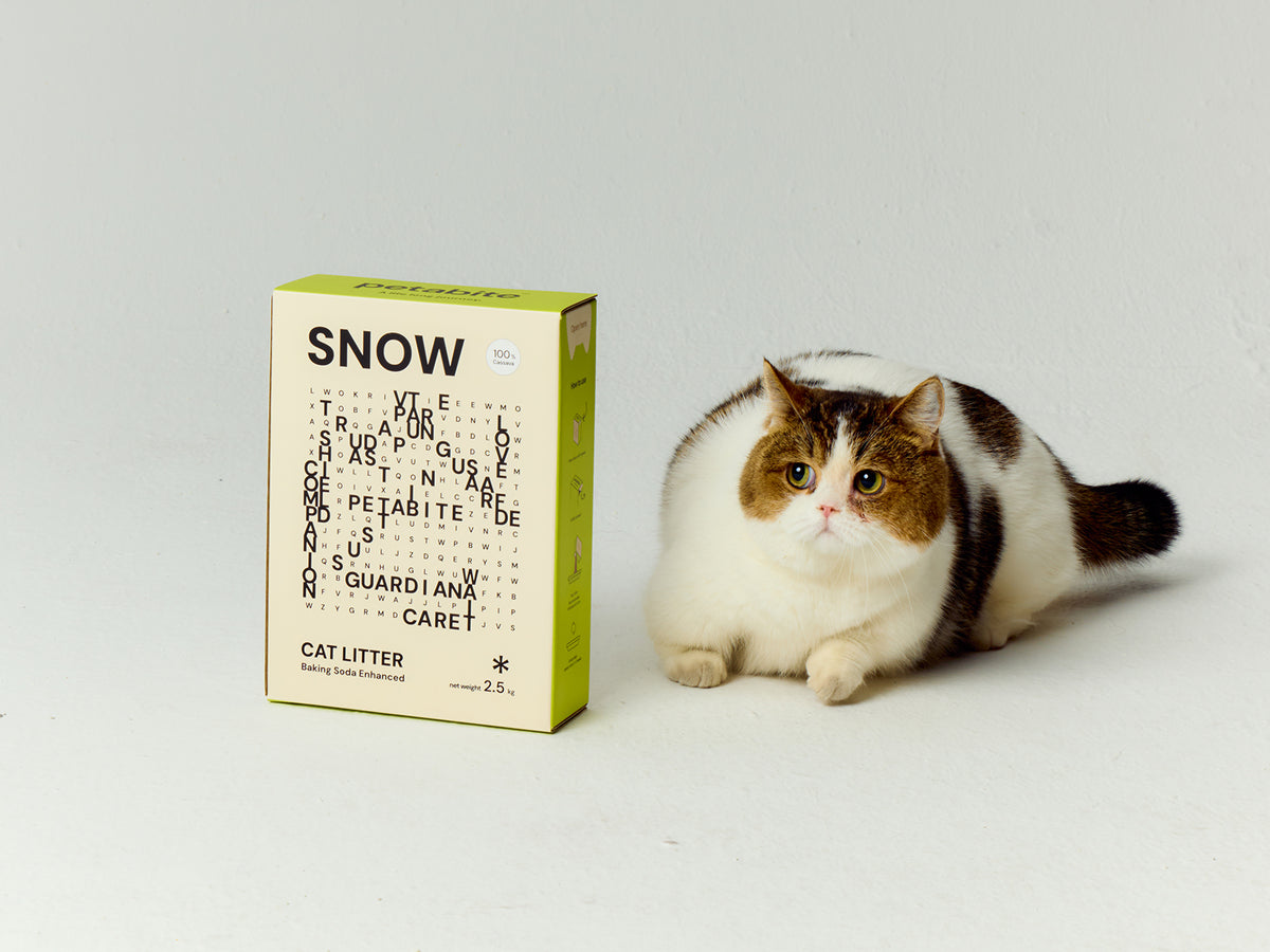 Snow cassava cat litter beside a cat
