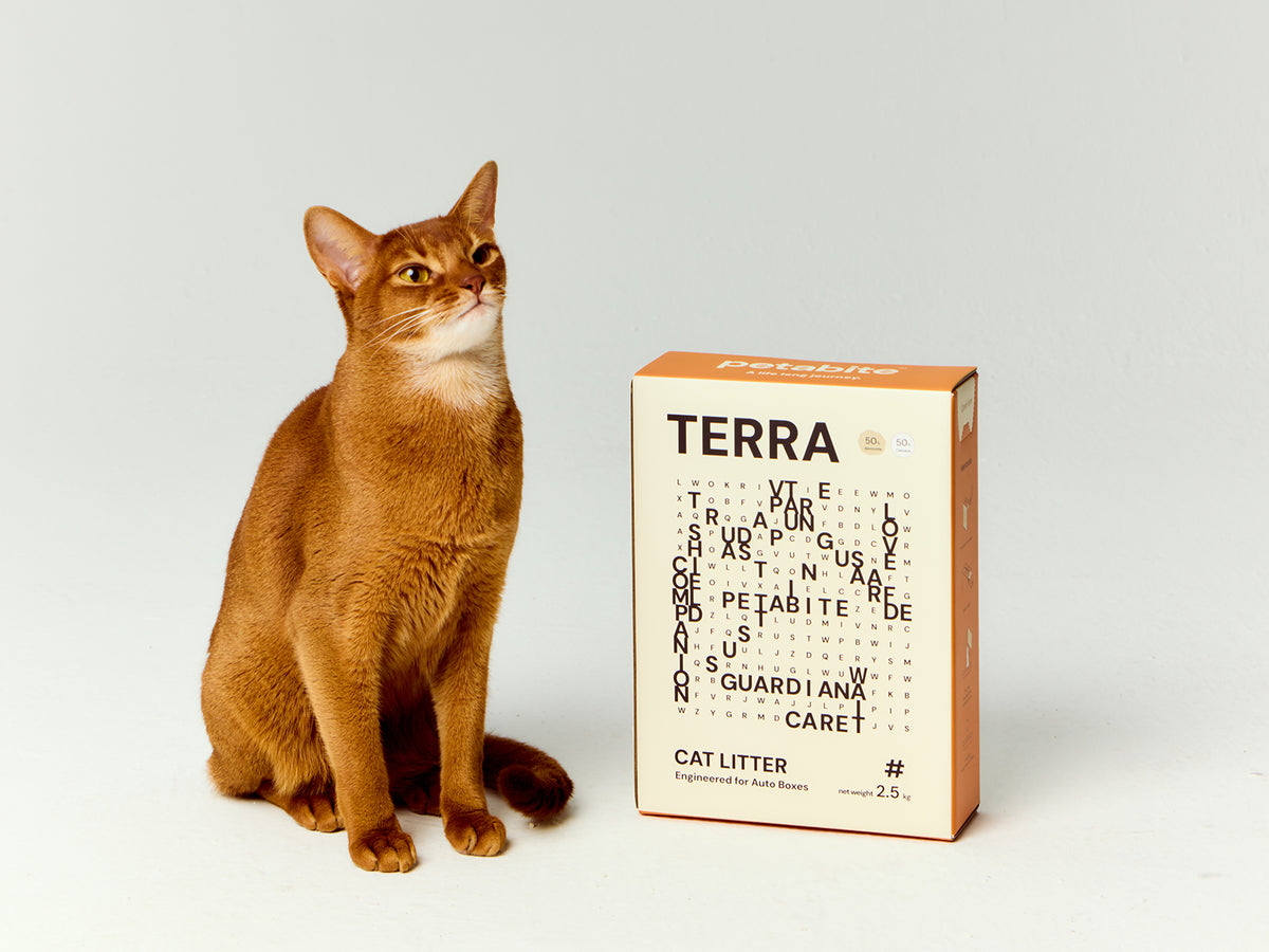 Terra blended cat litter beside a cat