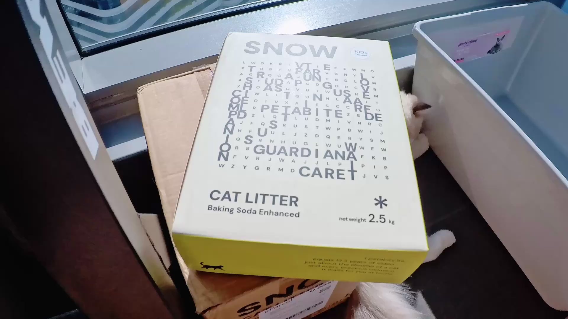 Customer footage of Snow being poured, cats exploring the tray and litter being scooped