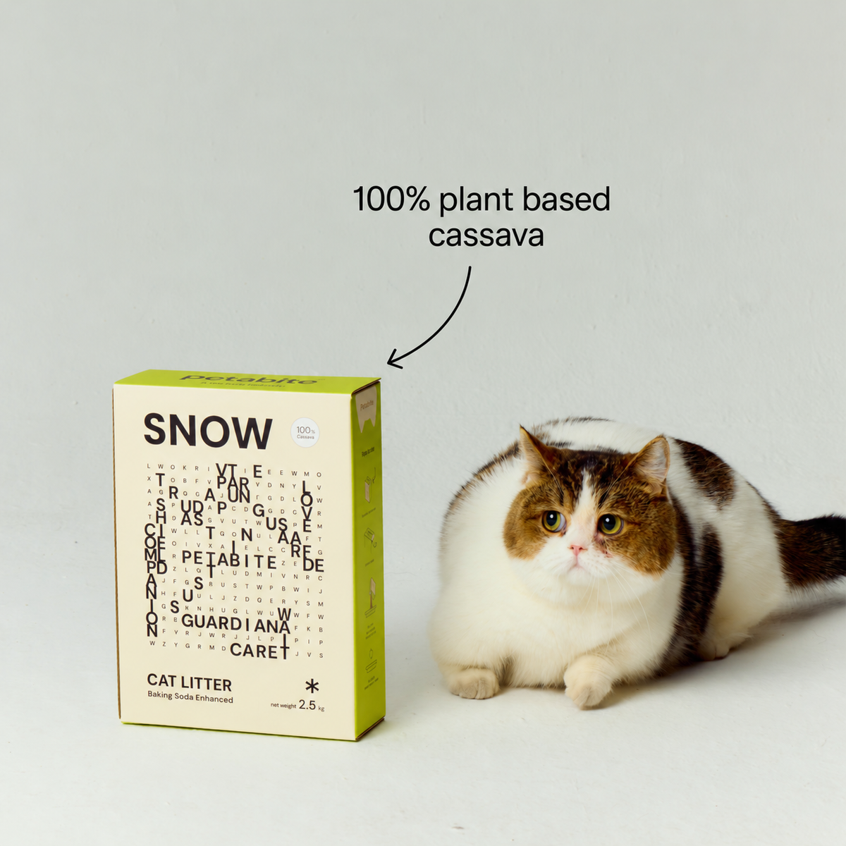Cat beside a box of Snow, made from 100% plant based cassava (Snow)