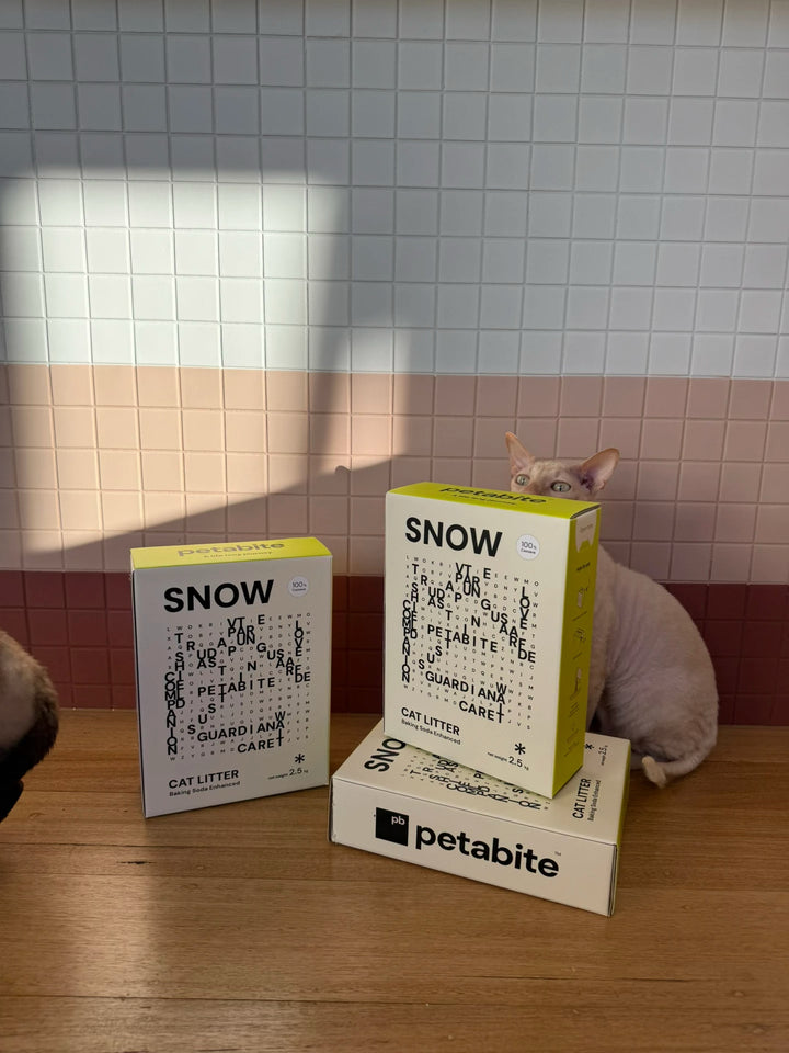Cream cat behind Snow boxes against a tiled wall
