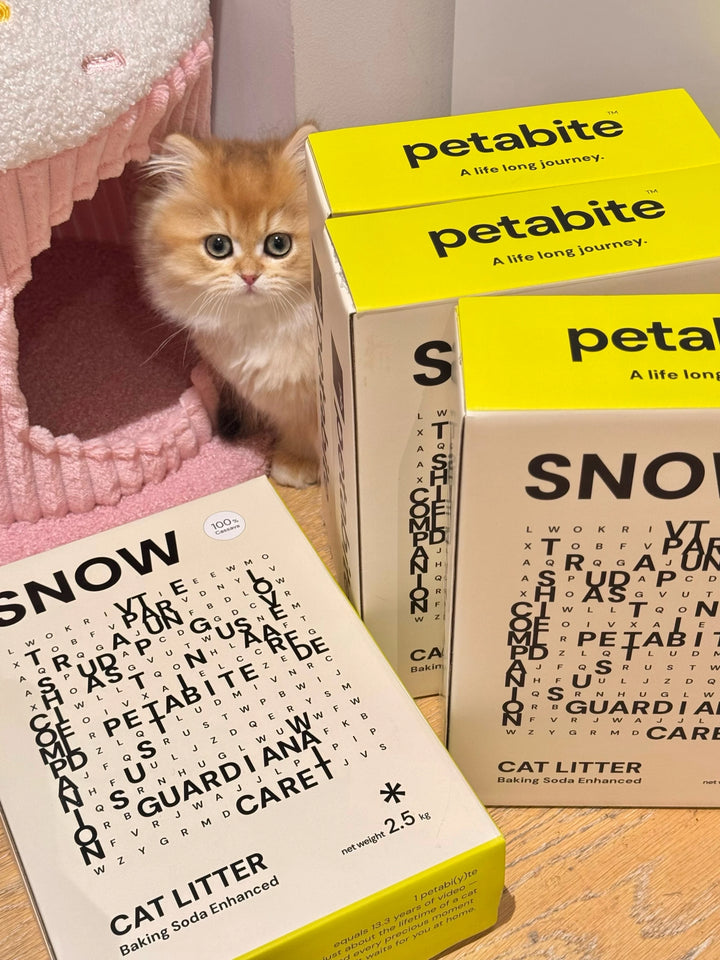 Golden kitten peeking between Snow boxes beside a pink cat tree