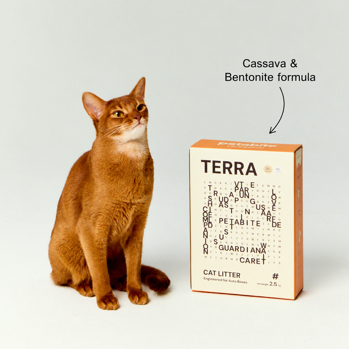 Cat beside a box of Terra, made with cassava and bentonite (Terra)
