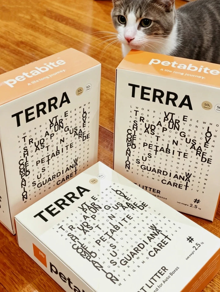 Grey and white cat behind Terra boxes on a wooden floor