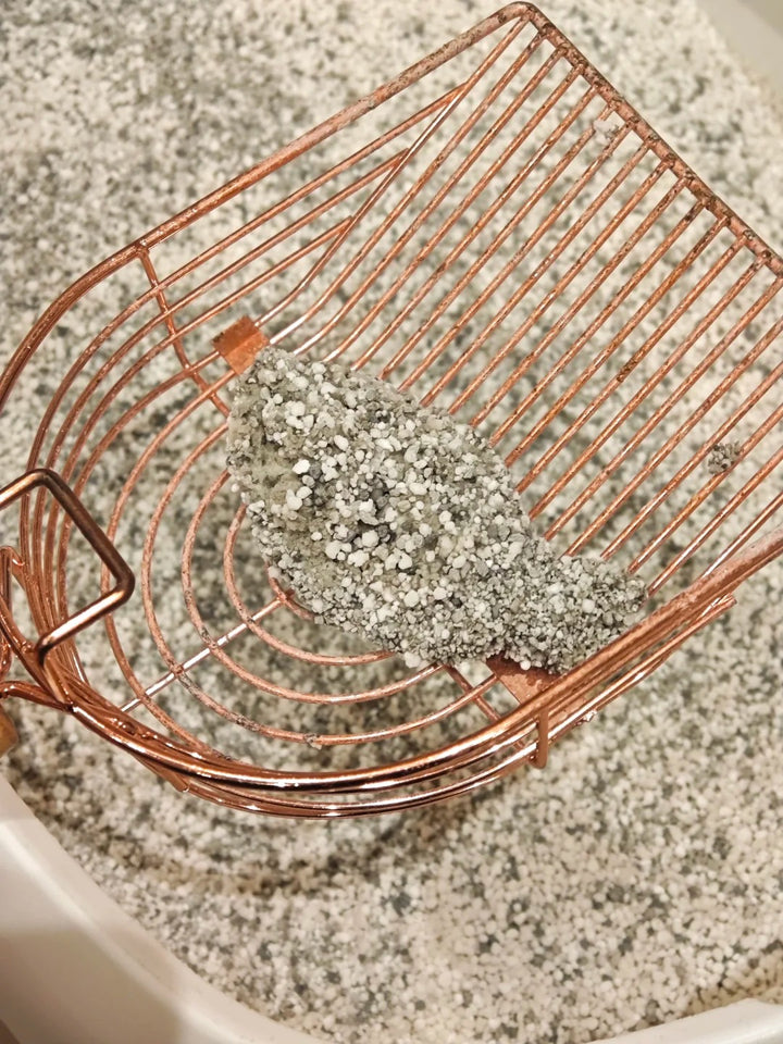 Terra litter clump on a copper coloured scoop