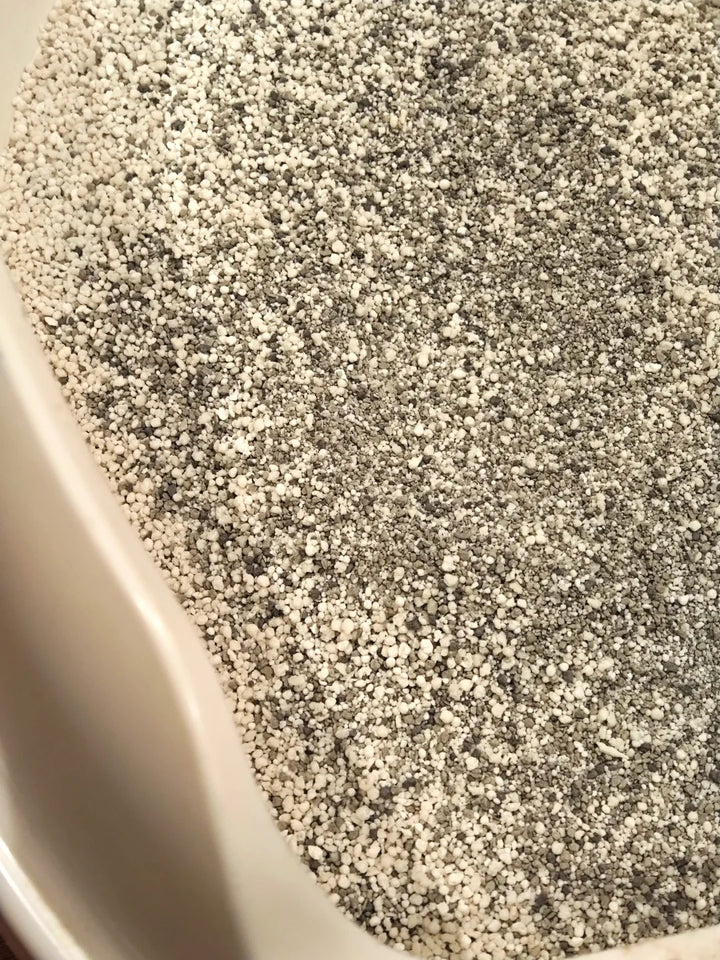Terra litter granules in a light coloured tray